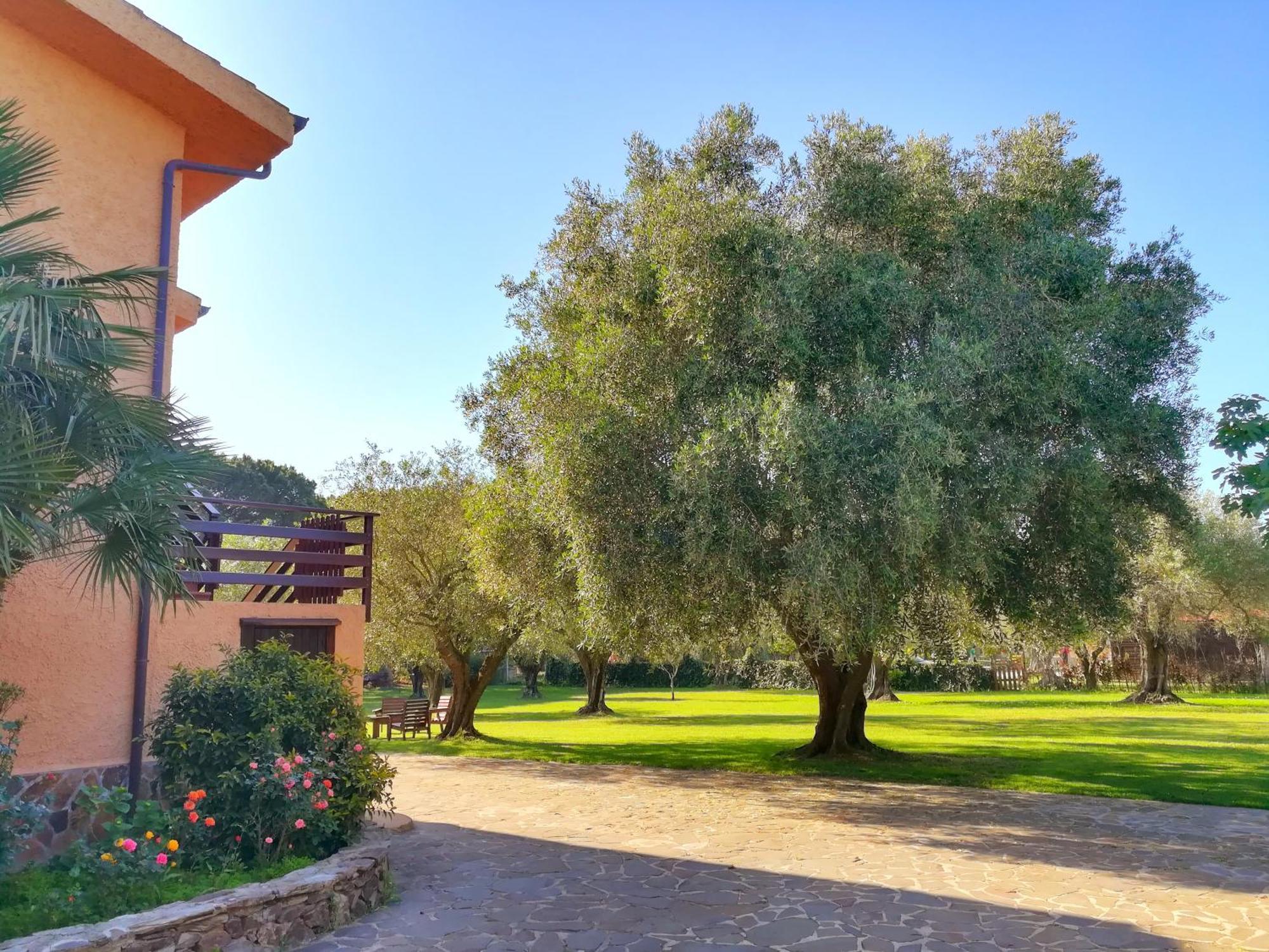 Nuraghe Bianco Bed & Breakfast Santa Maria la Palma Eksteriør bilde